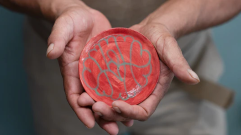 hands holding a decorative bowl