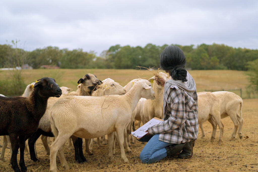 Students learn varied skills in their work through EPIC.