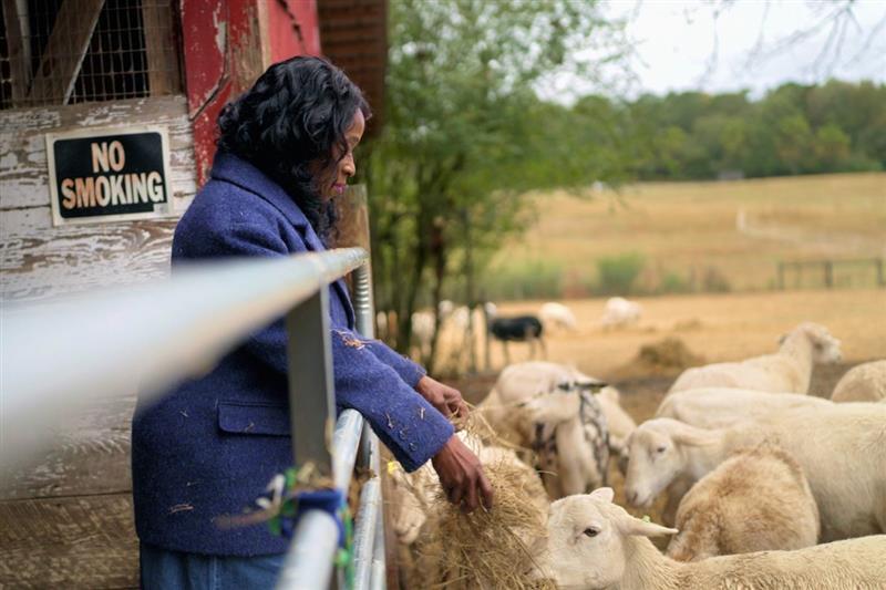 Hillery Goodgame is the owner of Blue Heron Urban Farms & Sanctuary in Chattahoochee Hills, Georgia